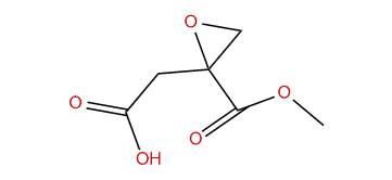 2-(2-(Methoxycarbonyl)-oxiran-2-yl)-acetic acid